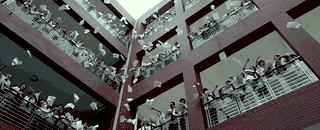 0.gif