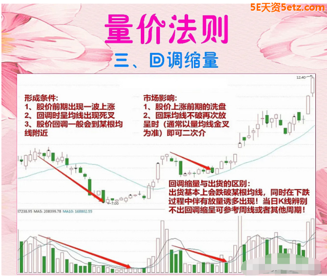 63f5a832731fe.png