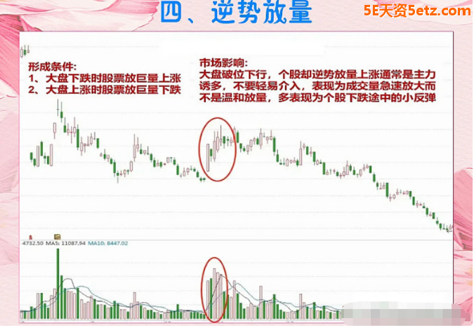 63f5a855468f9.png